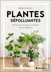 Plantes Depolluantes - Decouvrez Les Pouvoirs Purifiants De Vos Vegetaux