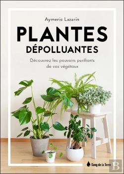 Bertrand.pt - Plantes Depolluantes - Decouvrez Les Pouvoirs Purifiants De Vos Vegetaux
