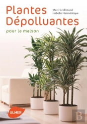 Plantes Dépolluantes Pour La Maison