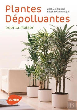 Bertrand.pt - Plantes Dépolluantes Pour La Maison