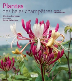 Bertrand.pt - Plantes Des Haies Champêtres