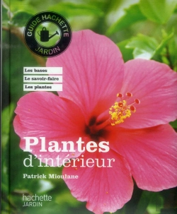 Bertrand.pt - Plantes D'Interieur