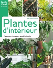 Plantes D'Intérieur ; Plantes Tendances Pour Un Effet Jungle