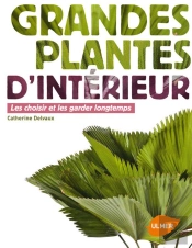 Plantes D'Interieur Qui Font De L'Effet.