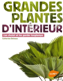 Bertrand.pt - Plantes D'Interieur Qui Font De L'Effet.