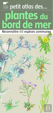 Plantes Du Bord De Mer (Petit Atlas Des)