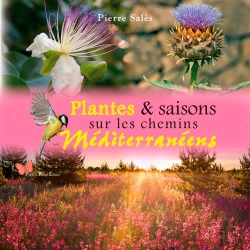 Bertrand.pt - Plantes & Saisons Sur Les Chemins Méditerranéens