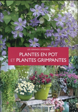 Bertrand.pt - Plantes En Pot Et Plantes Grimpantes