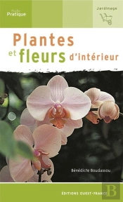 Plantes Et Fleurs D'Intérieur