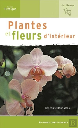 Bertrand.pt - Plantes Et Fleurs D'Intérieur