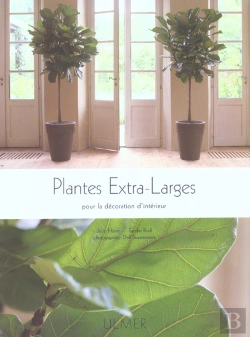 Bertrand.pt - Plantes Extra Larges Pour La Decoration D'Interieur