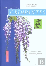 Plantes Grimpantes