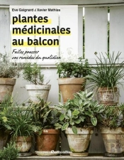 Plantes Médicinales Au Balcon : Faîtes Pousser Vos Remèdes Du Quotidien