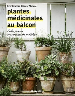 Bertrand.pt - Plantes Médicinales Au Balcon : Faîtes Pousser Vos Remèdes Du Quotidien