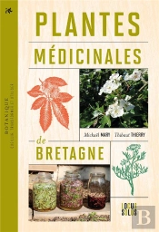 Plantes Médicinales De Bretagne