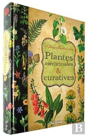 Plantes Médicinales Et Curatives