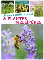 Plantes Melliferes (Les)