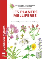 Plantes Mellifères : Plus De 200 Plantes De France Et D'Europe