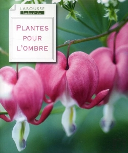 Bertrand.pt - Plantes Pour L'Ombre