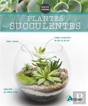 Plantes Succulentes