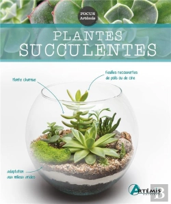 Bertrand.pt - Plantes Succulentes