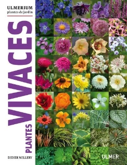 Bertrand.pt - Plantes Vivaces