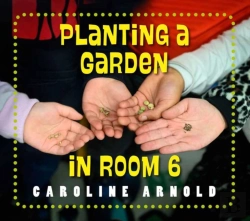 Bertrand.pt - Planting A Garden In Room 6