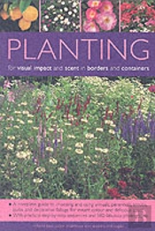 Planting For Visual Impact And Scent In Borders And Containers