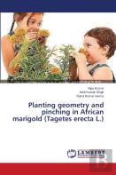 Planting Geometry And Pinching In African Marigold (Tagetes Erecta L.)