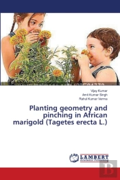 Planting Geometry And Pinching In African Marigold (Tagetes Erecta L.)