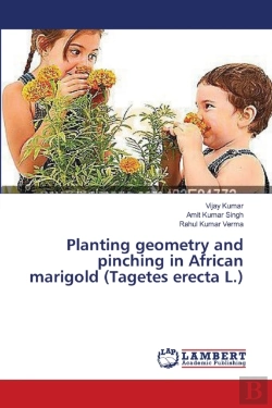Bertrand.pt - Planting Geometry And Pinching In African Marigold (Tagetes Erecta L.)