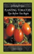 Planting Tomatoes