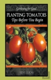 Planting Tomatoes