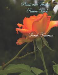 Plants And Flowers Picture Book