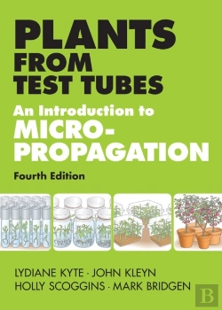 Bertrand.pt - Plants From Test Tubes