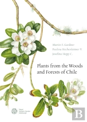Plants From The Woods And Forests Of Chile