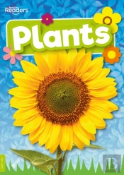 Plants