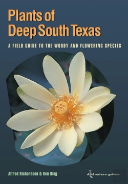 Bertrand.pt - Plants Of Deep South Texas
