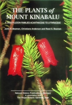 Bertrand.pt - Plants Of Mount Kinabalu Part 4, The