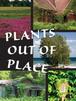 Bertrand.pt - Plants Out Of Place