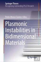 Plasmonic Instabilities In Bidimensional Materials