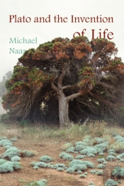 Plato And The Invention Of Life