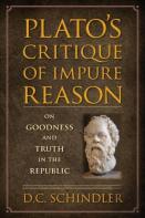 Platoâ€™S Critique Of Impure Reason