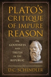 Platoâ€™S Critique Of Impure Reason