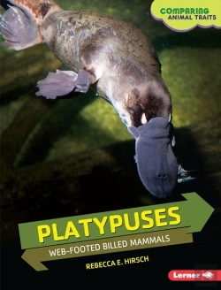 Bertrand.pt - Platypuses