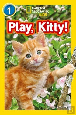 Bertrand.pt - Play, Kitty!