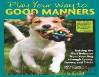 Play Your Way To Good Manners