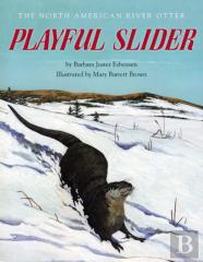 Playful Slider