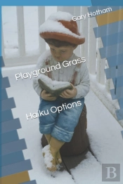 Playground Grass Haiku Options