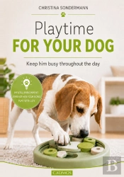 Playtime For Your Dog